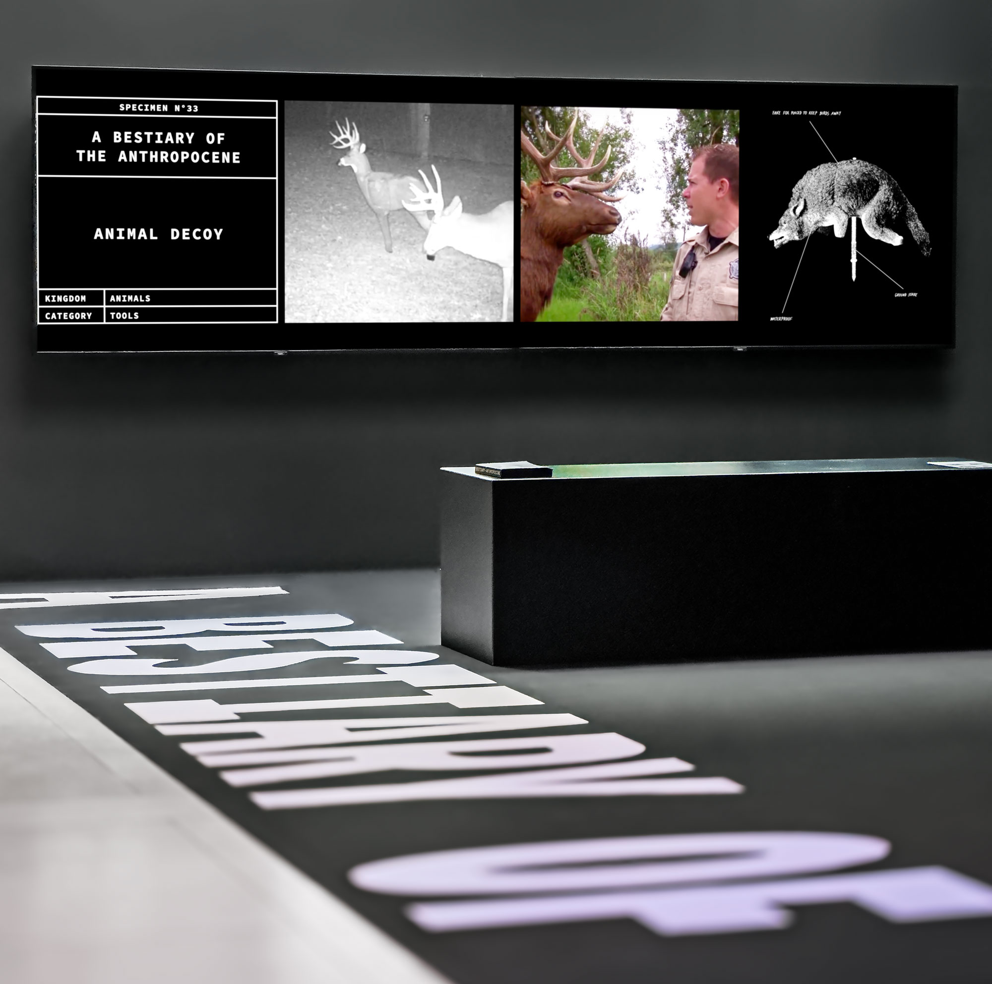 Image de l’installation