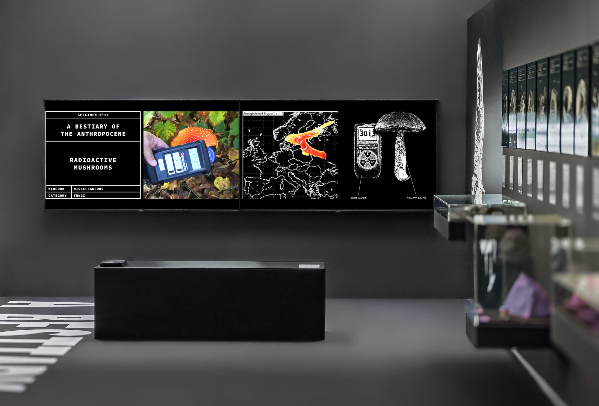 Image de l’installation