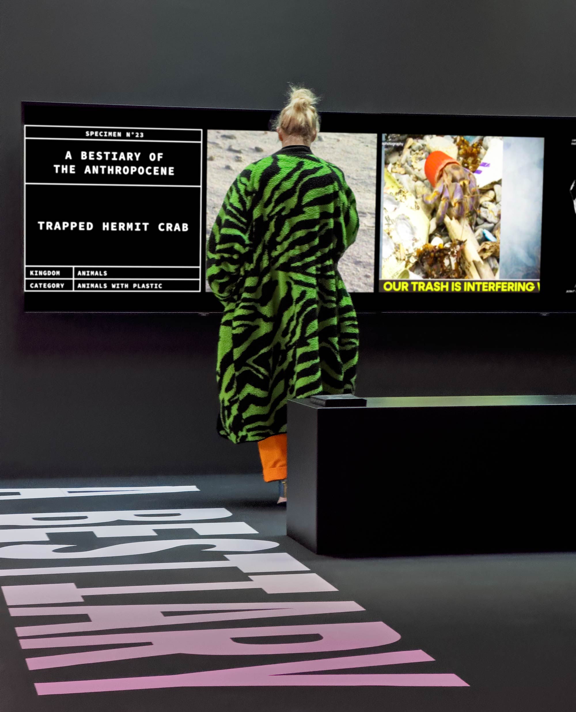 Image de l’installation
