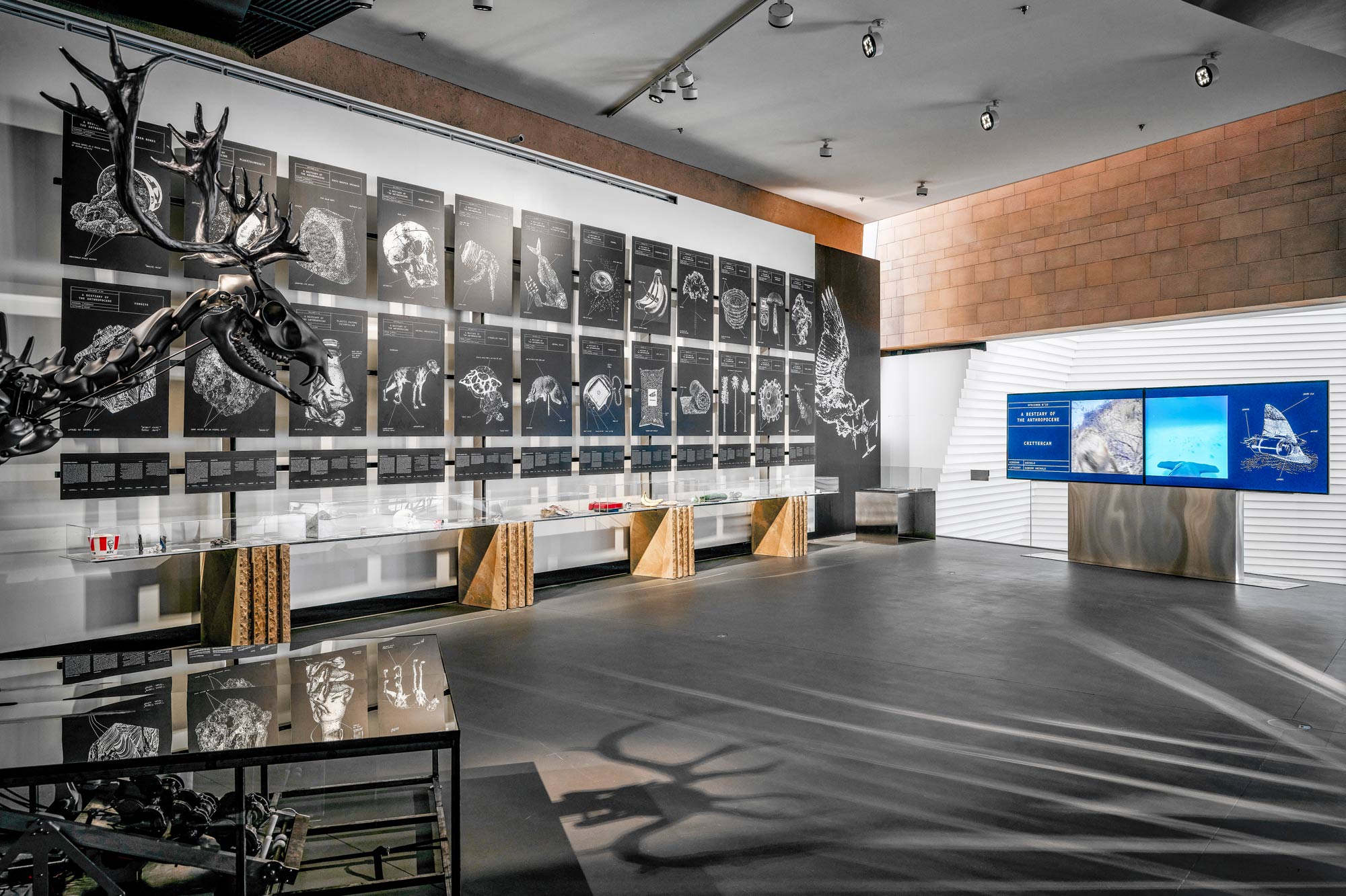 Vue d’exposition Bestiaire de l’Anthropocène