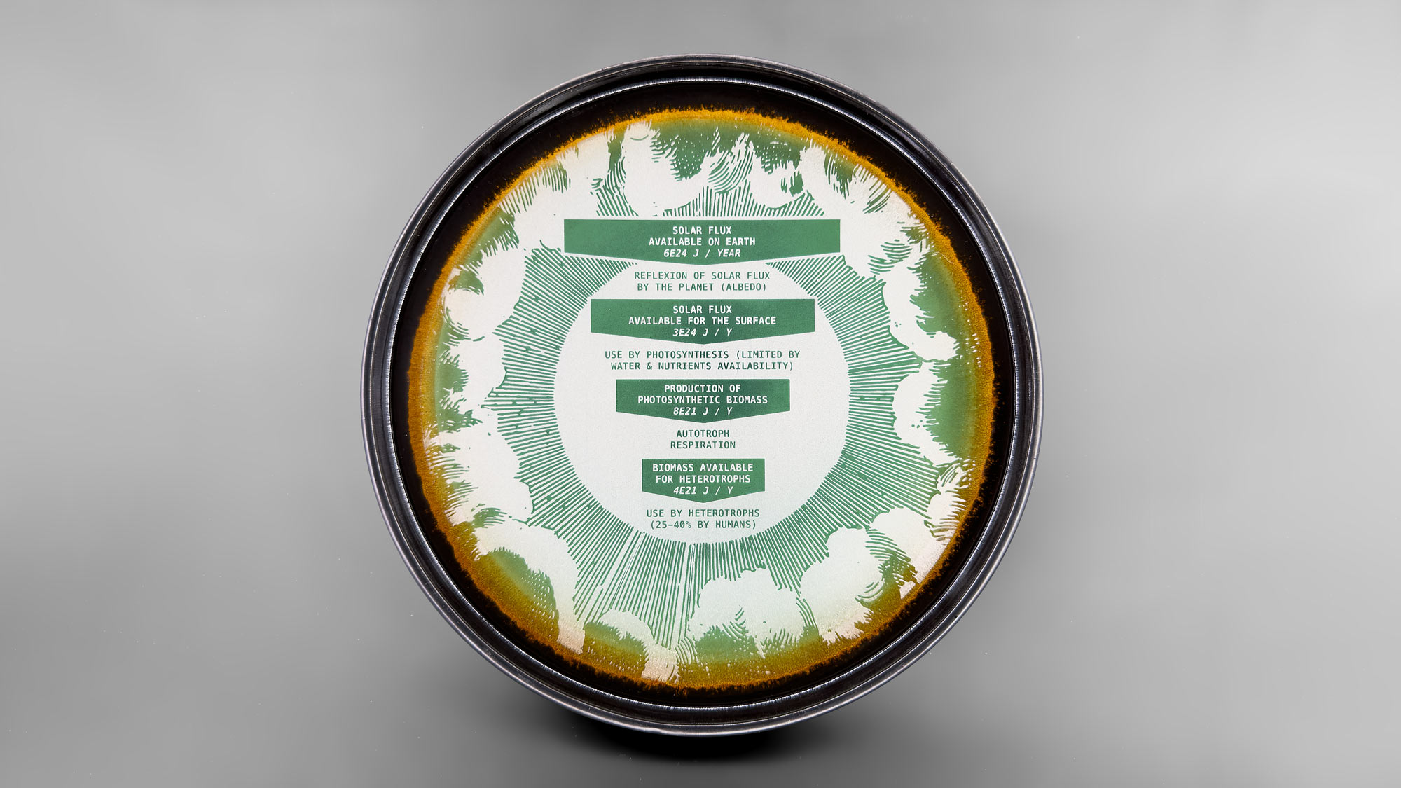 Assiette 11